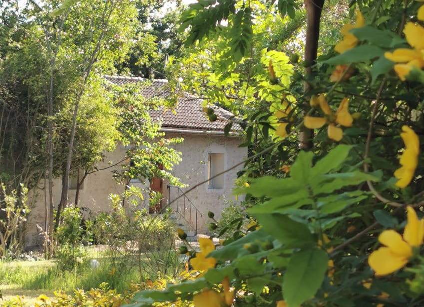 202507856_279546070617995_7116053532305611017_n