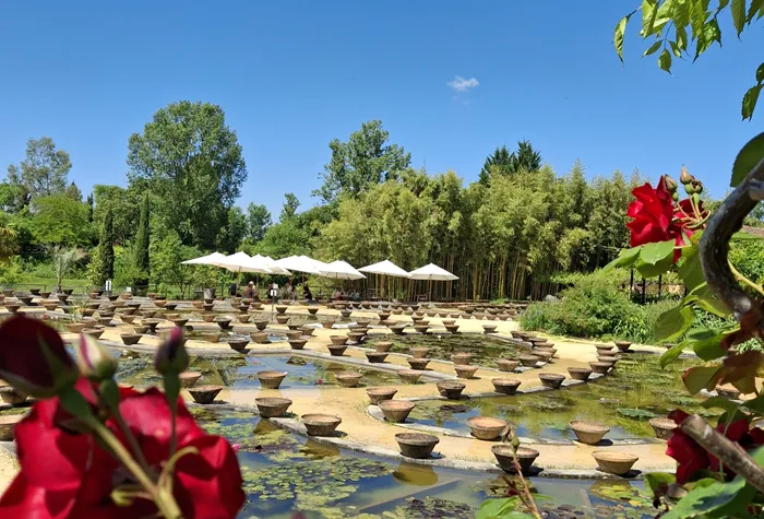 2025-05-17 12 17 54 2