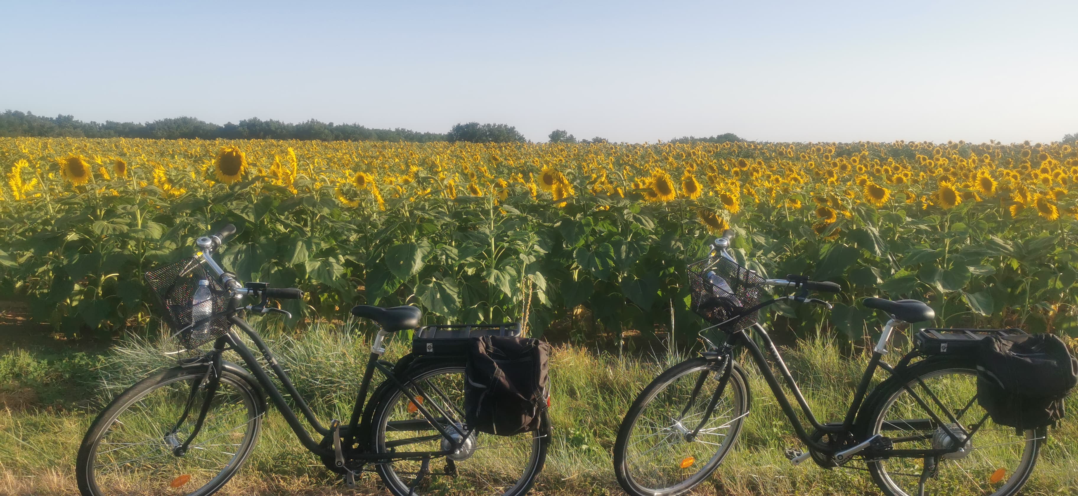 309695153_464693802383667_7863537903591061489_n